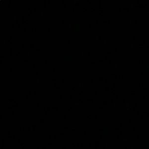 Meet your Posher, Owen